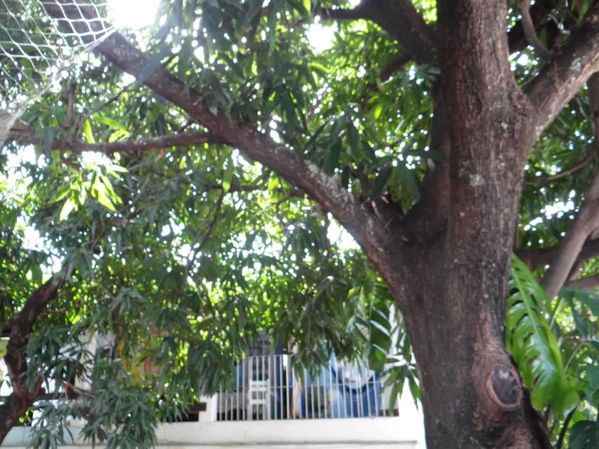 Casa De Temporada Das Mangueiras Olinda Exteriér fotografie